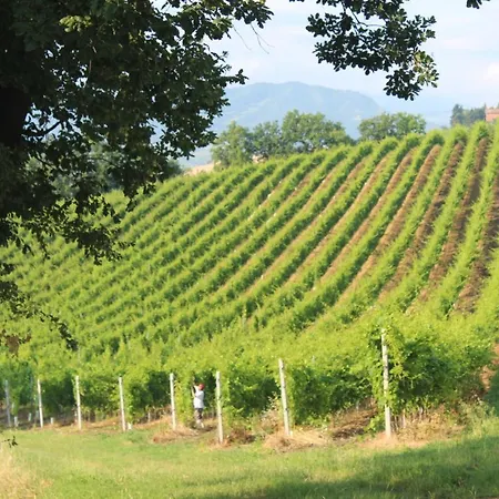 Piazza Savonarola 13 펜션