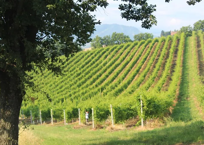 Piazza Savonarola 13 Semesterbostad